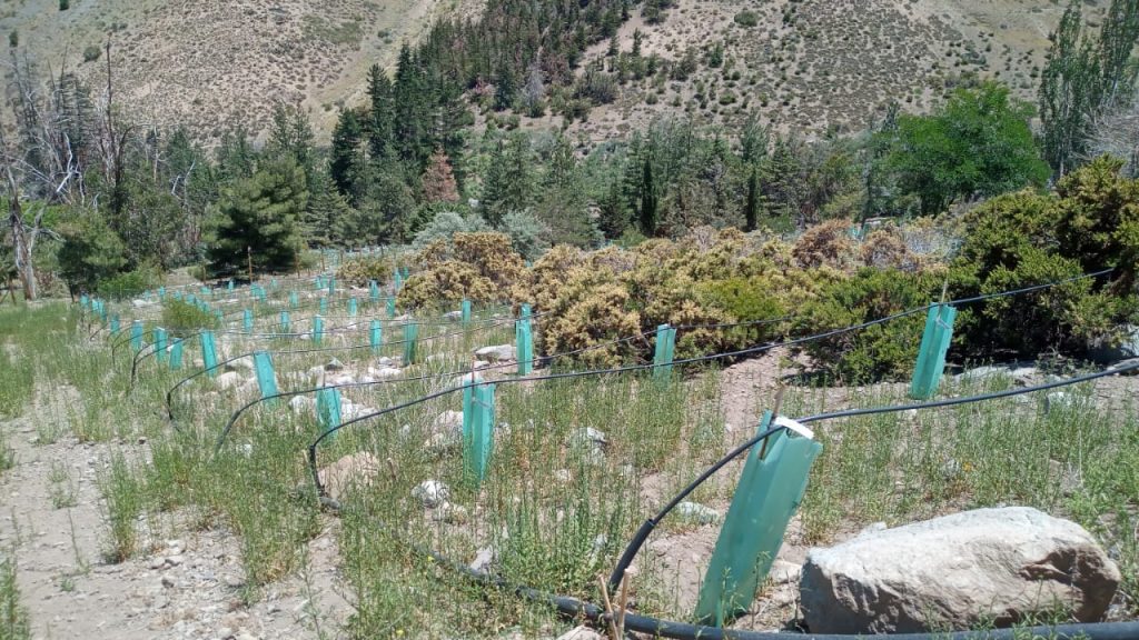 areas verdes
